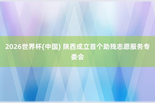 2026世界杯(中國) 陜西成立首個助殘志愿服務專委會