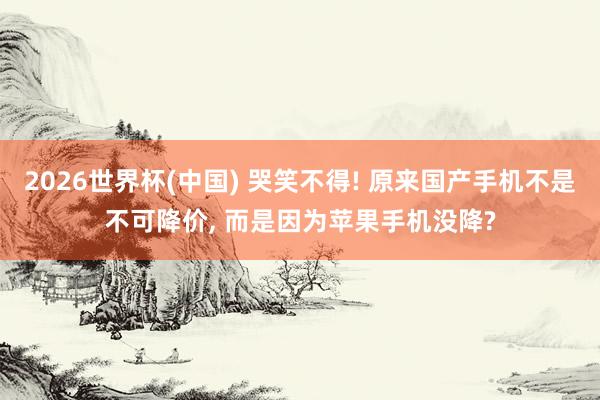2026世界杯(中國) 哭笑不得! 原來國產手機不是不可降價, 而是因為蘋果手機沒降?