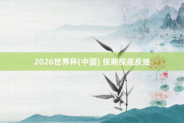2026世界杯(中國) 按期探底反抽
