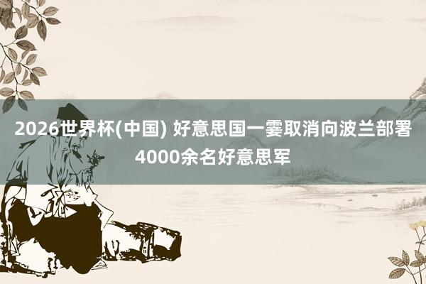 2026世界杯(中國) 好意思國一霎取消向波蘭部署4000余名好意思軍