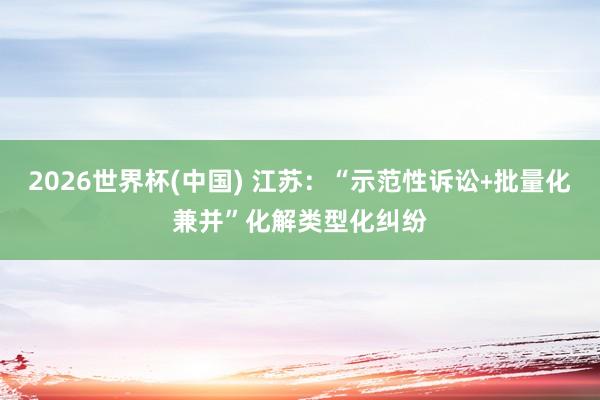 2026世界杯(中國) 江蘇:“示范性訴訟﹢批量化兼并”化解類型化糾紛