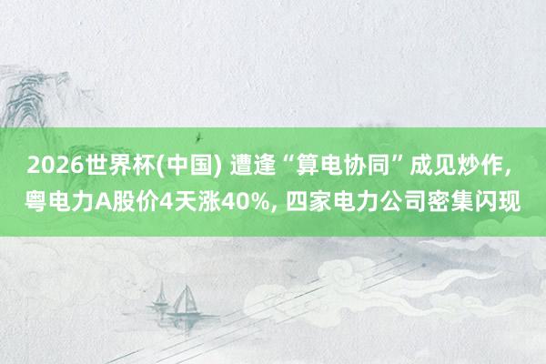 2026世界杯(中國) 遭逢“算電協同”成見炒作， 粵電力A股價4天漲40%， 四家電力公司密集閃現