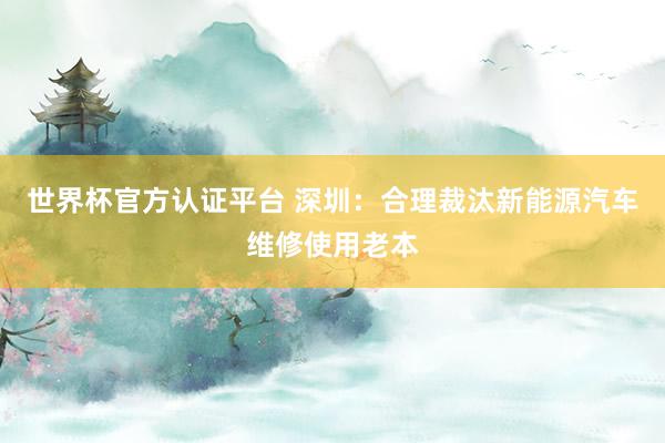 世界杯官方認(rèn)證平臺(tái) 深圳：合理裁汰新能源汽車維修使用老本